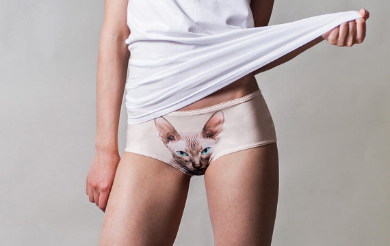 Naked Ninja Pussycat Panties