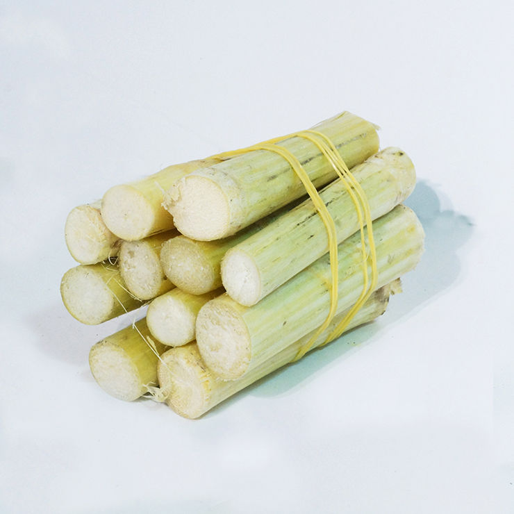 竹蔗1束