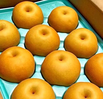 日本 长野信州南水梨原箱(优糖生) 原箱8个(约5kg1箱)