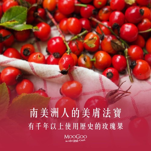 MooGoo-玫瑰果精華油 | 玫瑰果功效 | 玫瑰果介紹