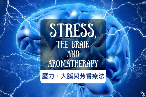 紓壓精油