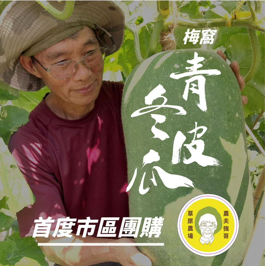 梅窩職人|青皮冬瓜X 蒲瓜首度市區團購！